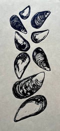 Mussel Shells
