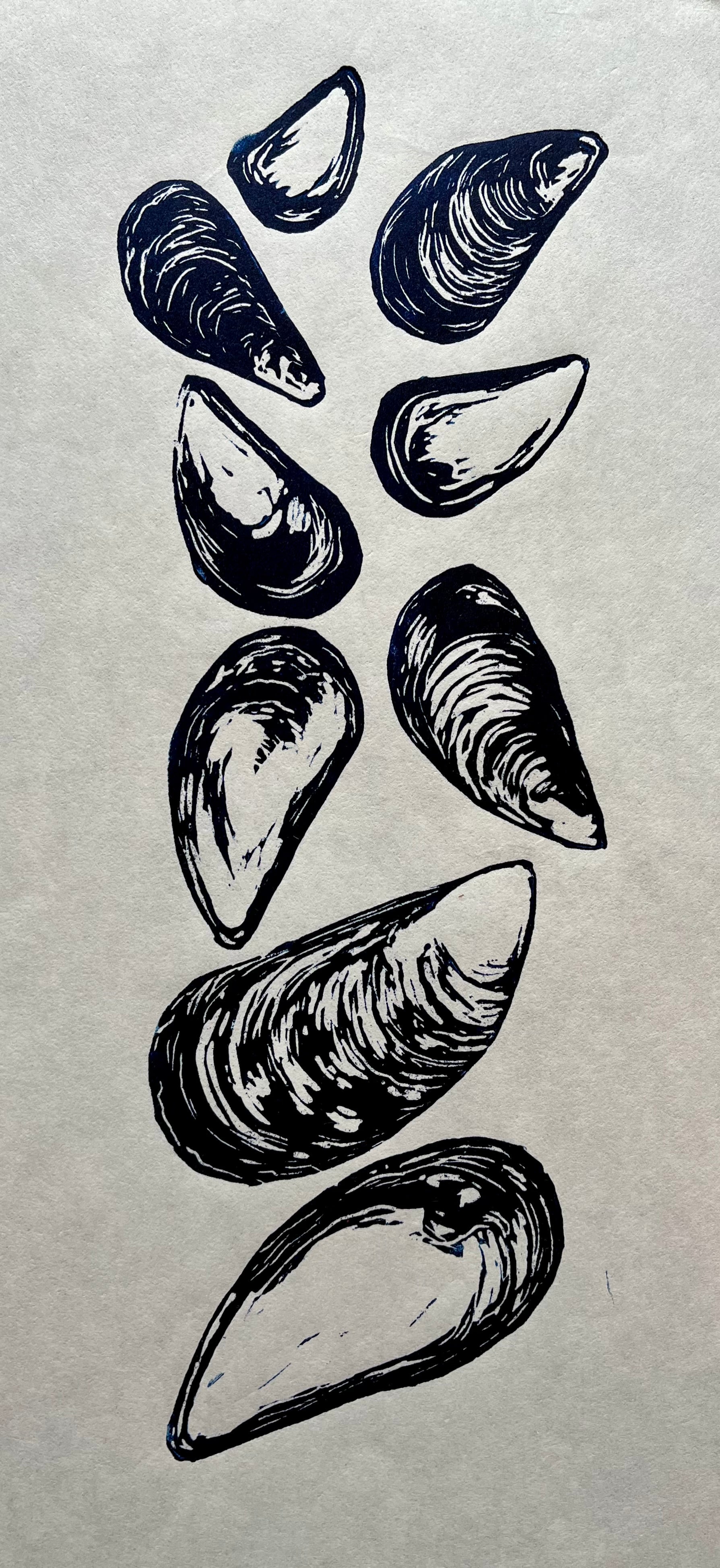 Mussel Shells