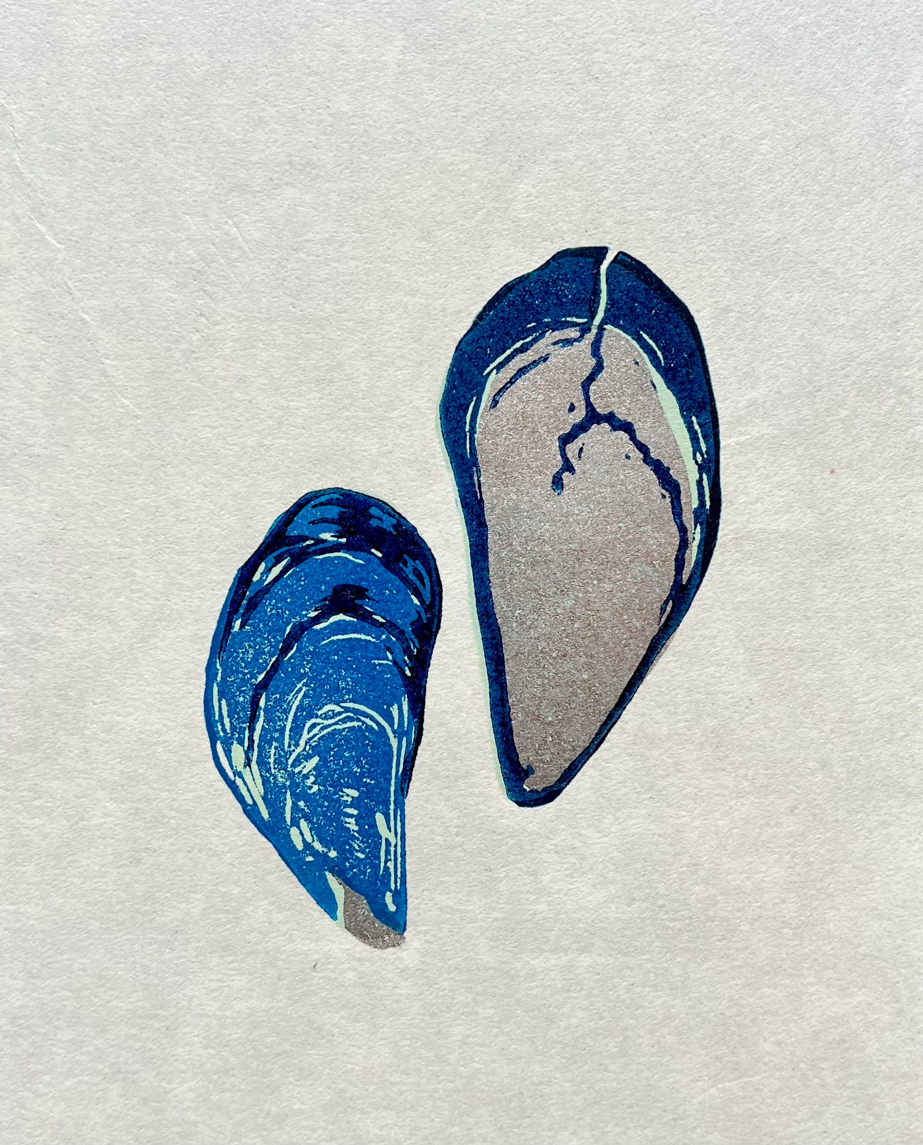 Two Mussel Shells