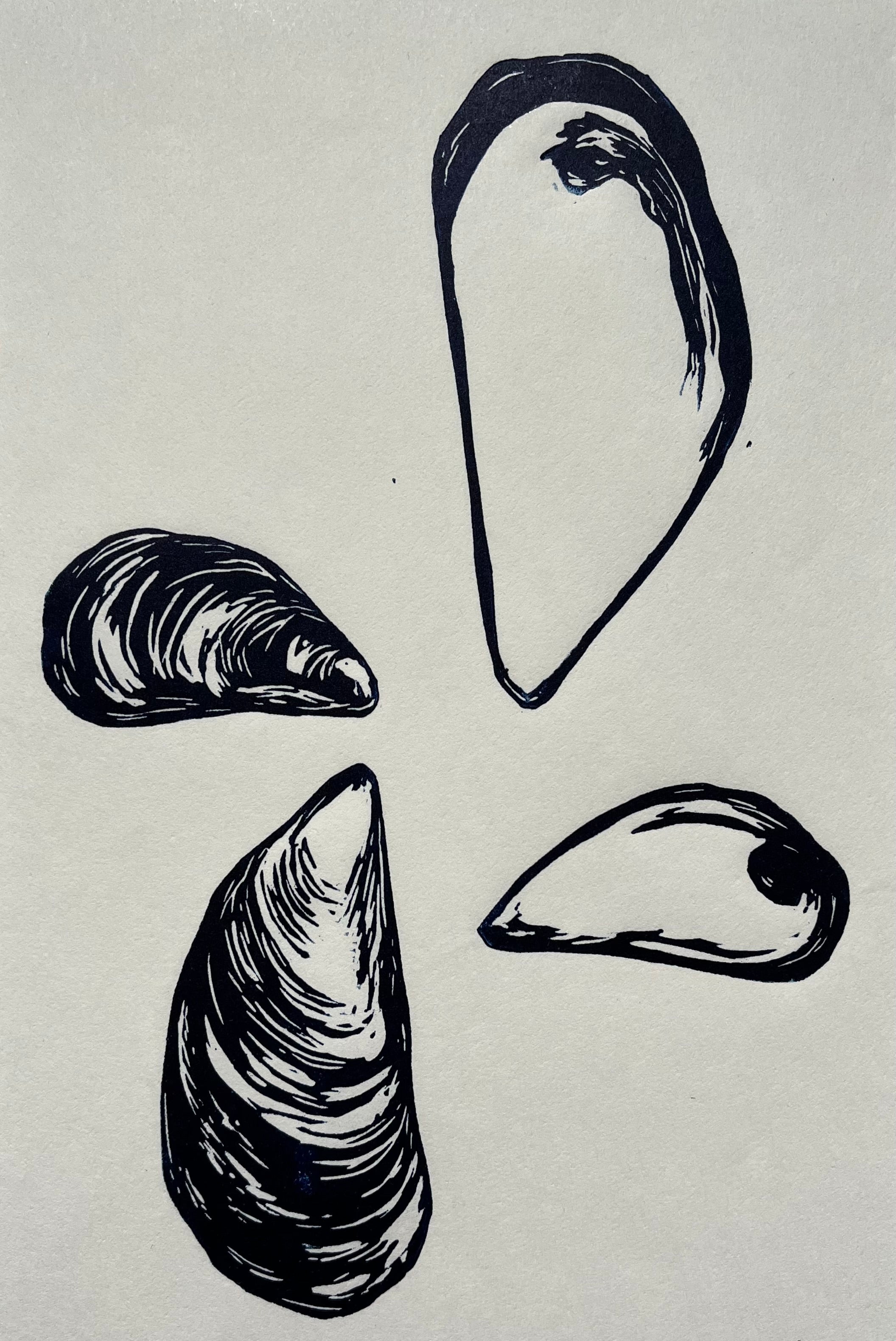 Four Mussel Shells