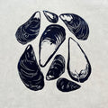 Scattered Mussel Shells