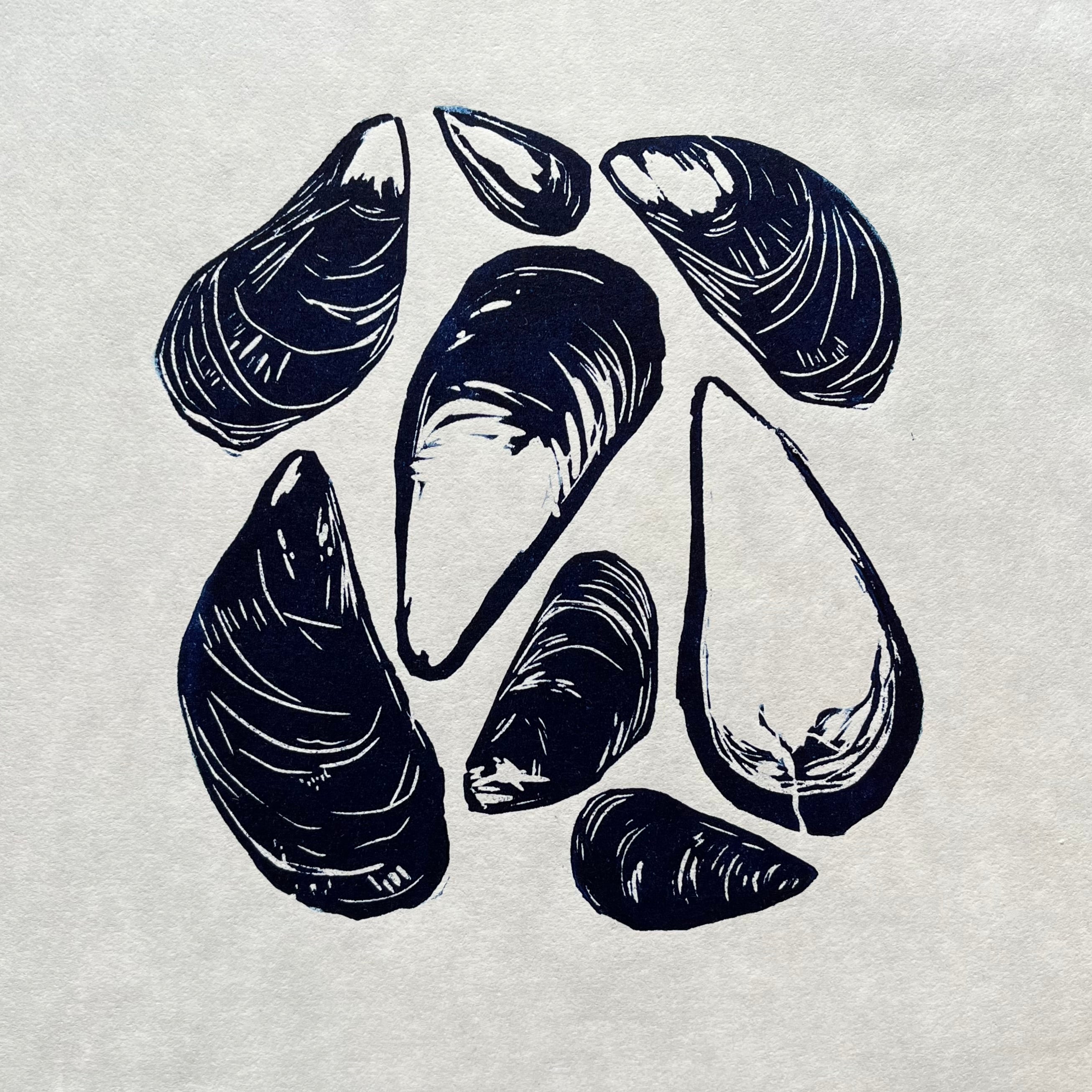 Scattered Mussel Shells