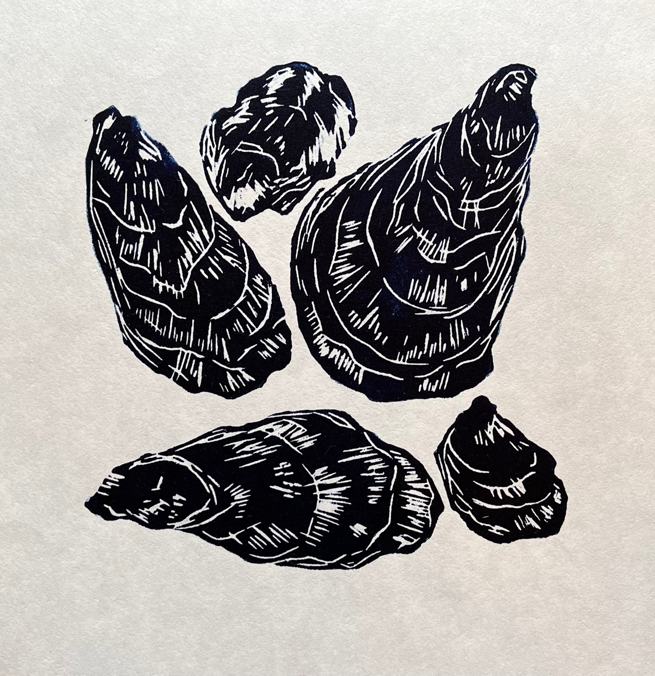 Scattered Oyster Shells